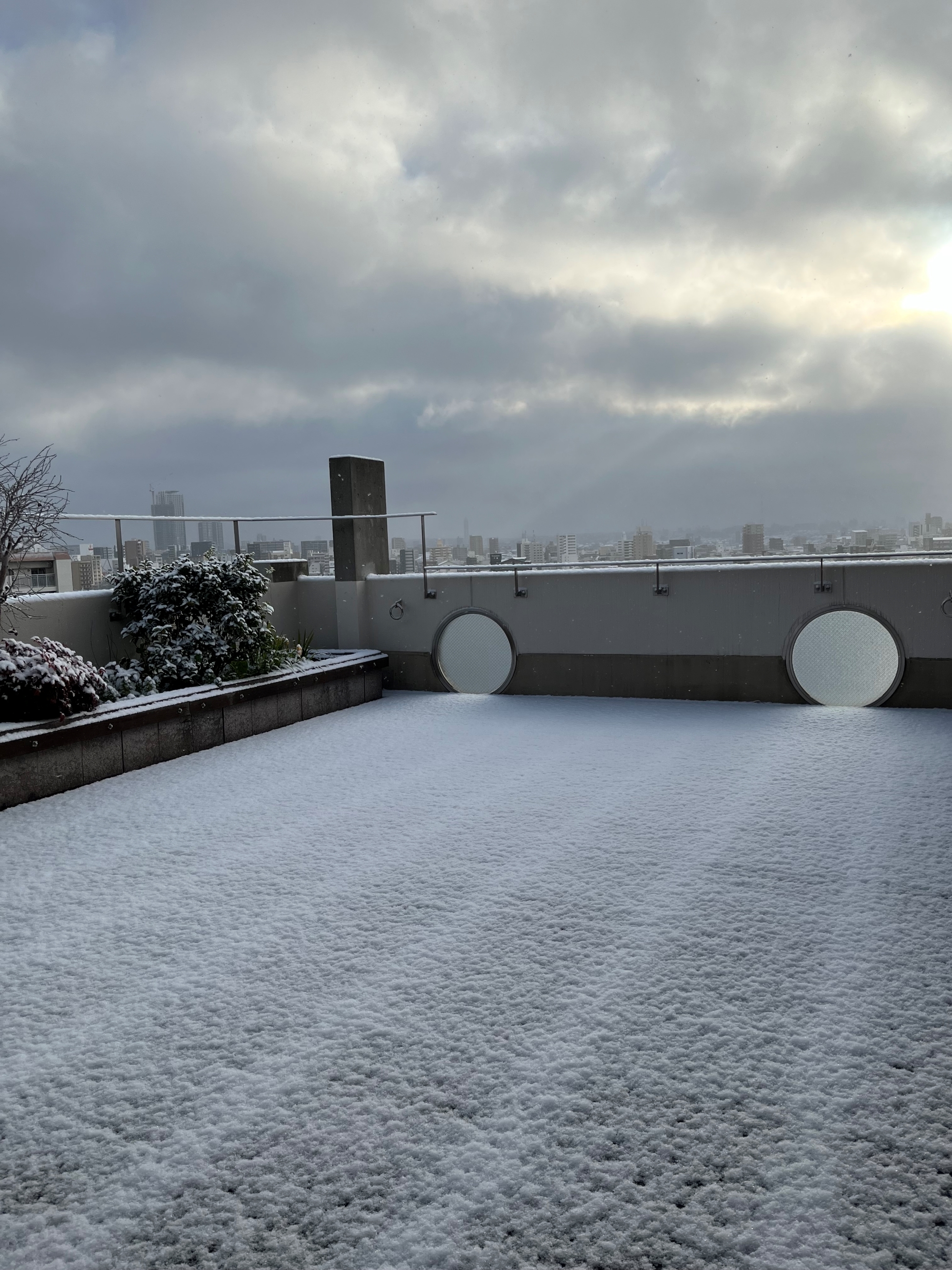 体験付き見学会を開催します