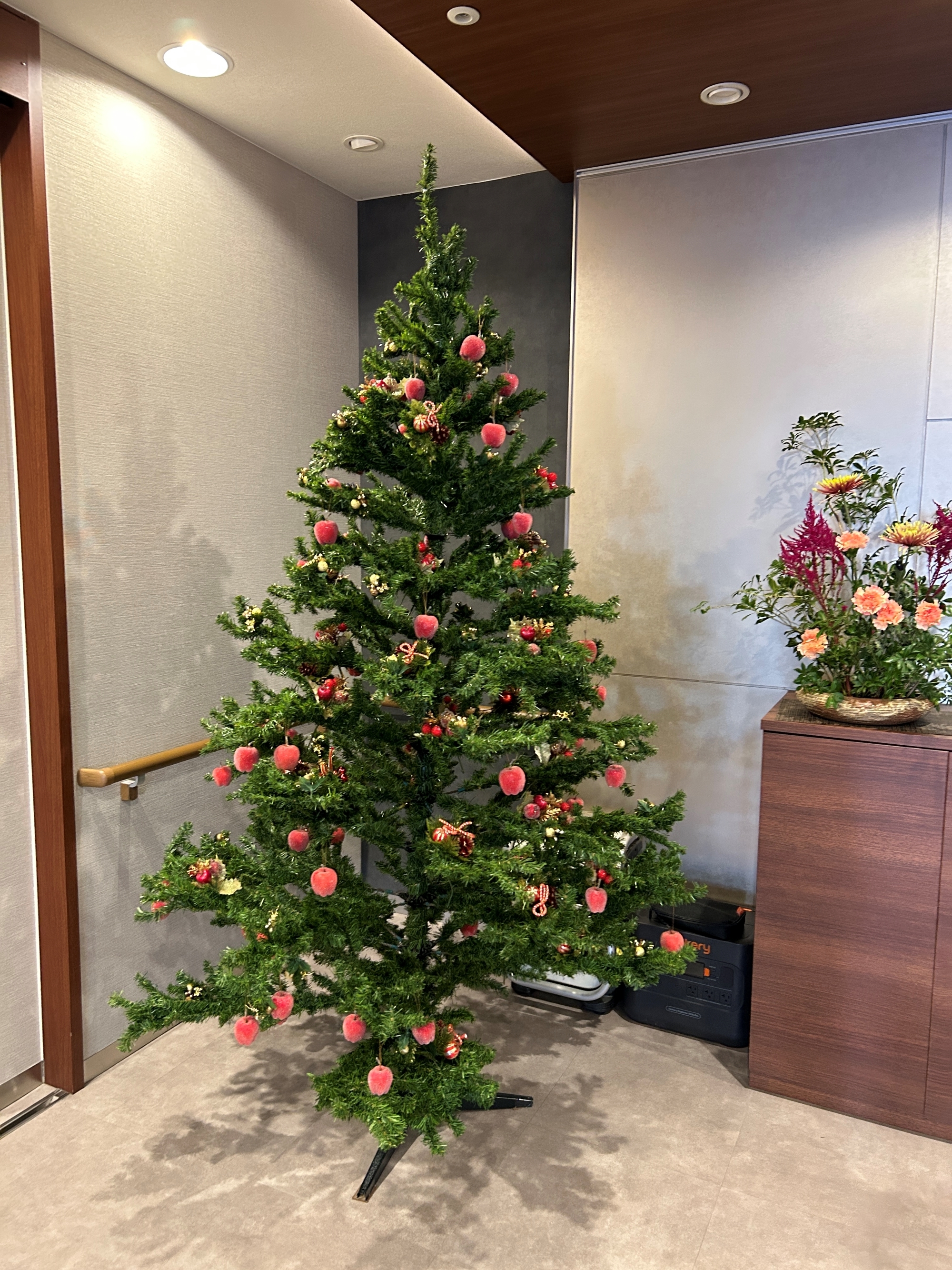 クリスマスが今年もやってくる♪